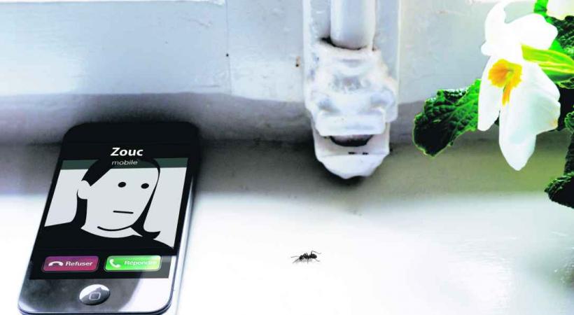 Où est Zouc ? On ne la voit plus et on ne l’entend plus. 