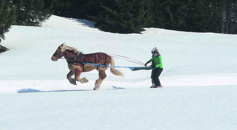 Le Ski Joering, c'est amusant! 