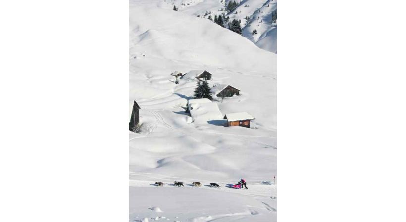 En chiens de traineau devant Chalet Blanc. 