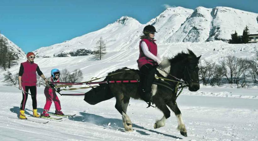 L'art est en mouvement dans les stations 