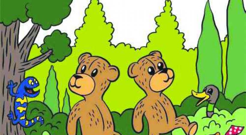 Perdre son ours? Un drame! 