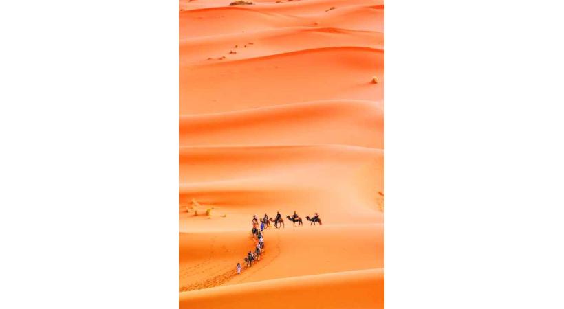 La Tunisie est l'Hôte d'honneur de cette édition.