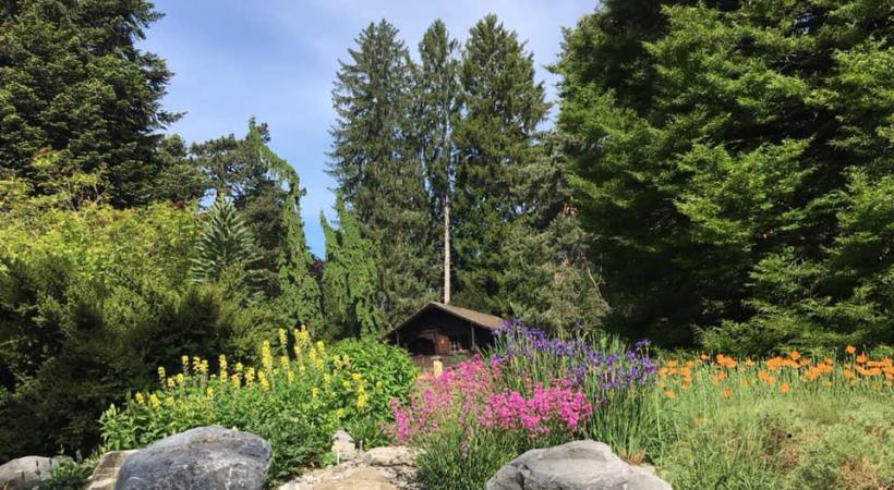 FACEBOOK JARDIN BOTANIQUE ALPIN