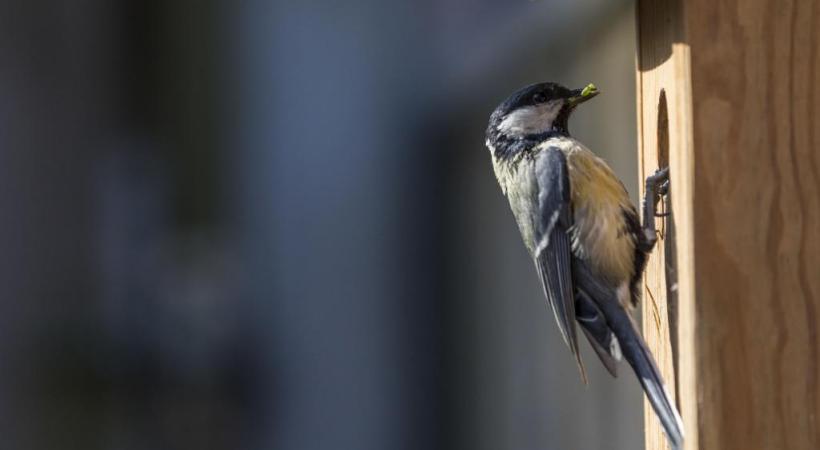 123RF/TM PHOTOGRAPHY