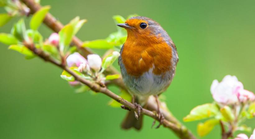 123RF/RUDMER ZWERVER 