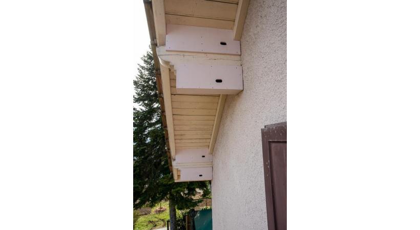 Des nichoirs pour martinets installés sous les avant-toits d’une maison. 