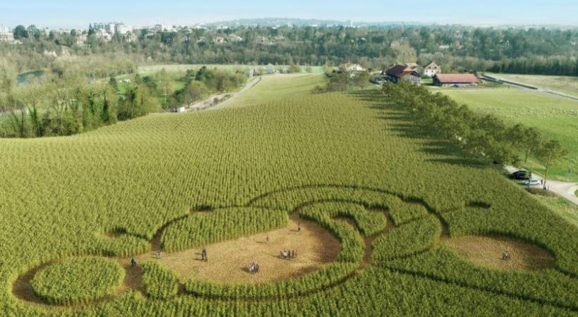 LECHAMPDESPOSSIBLES.CH