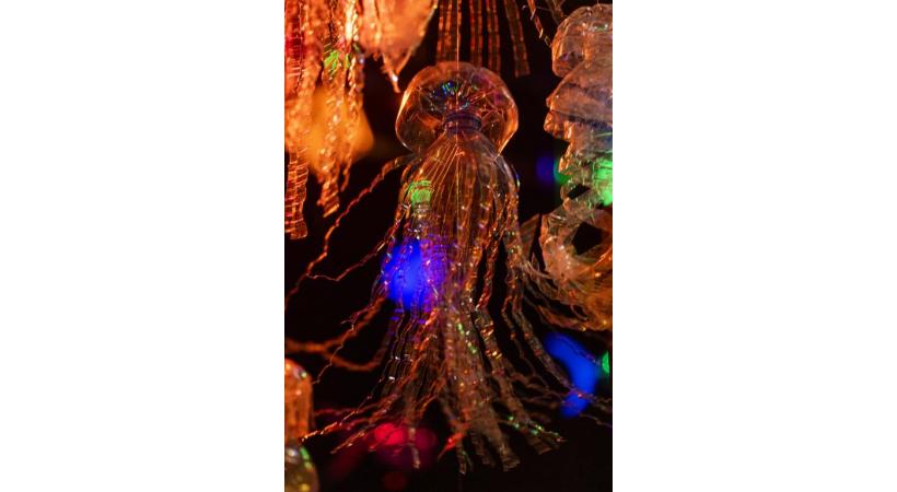 Des bancs de méduses (sculptées dans 