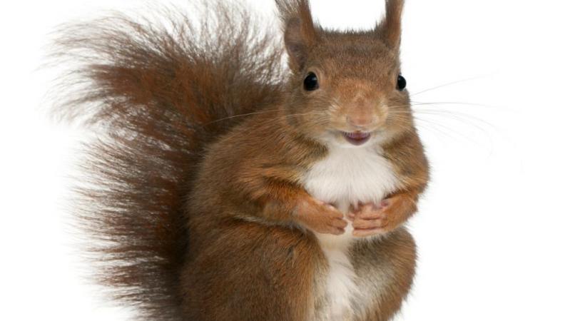 123RF/ISSELEE ERIC PHILIPPE 