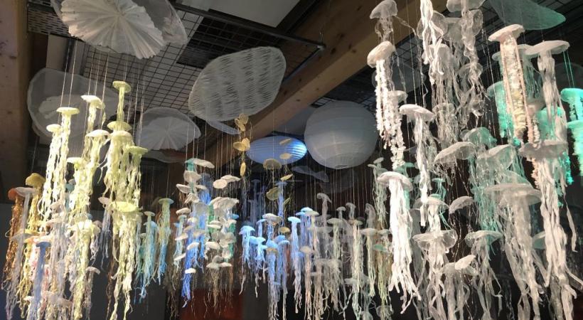 Les méduses ne manquent pas à l’appel. ROSANNA BALEDDA