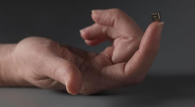 L’exposition présente des livres de toutes  tailles, souvent minuscules. DR