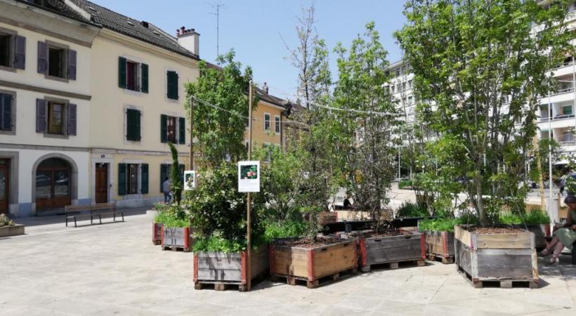 DENIS ASTIER/VILLE DE CAROUGE