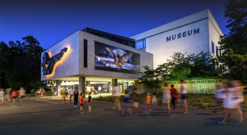 PHILIPPE WAGNEUR/MUSéUM