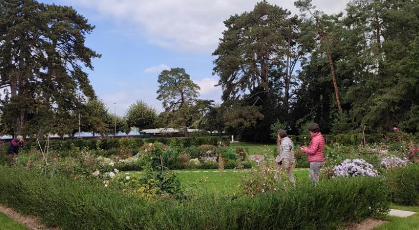 Les nouvelles variétés de fleurs permettent de rendre le jardin plus attractif et luxuriant. TR