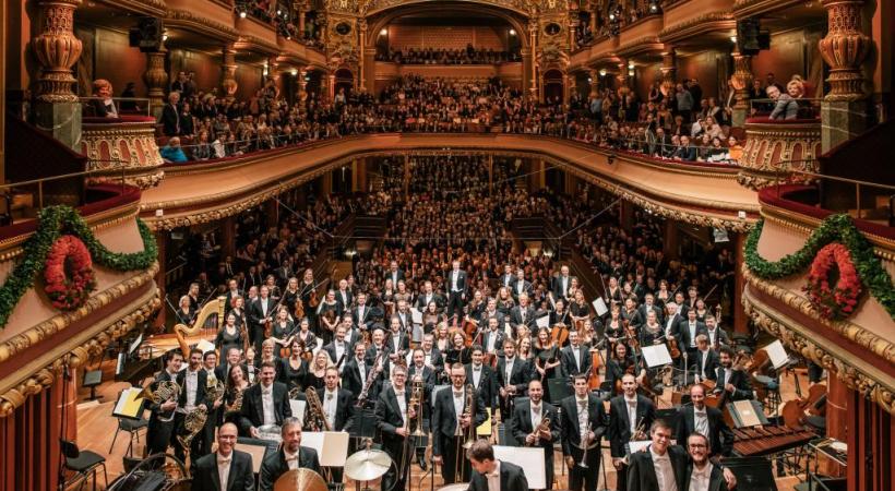 au Victoria Hall. NIELS ACKERMANN