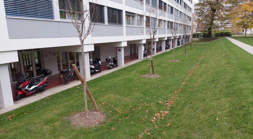 Les réparations ont enfin commencé au 30 rue de la Calle à Onex. TR