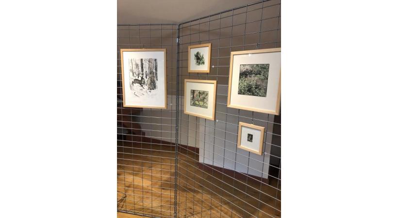 Robert Hainard croquait la nature sur le vif. DR