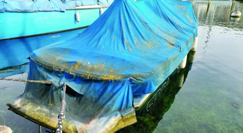 Certains bateaux, ici près de Baby-Plage, font tâche au beau milieu des ports genevois. TR 