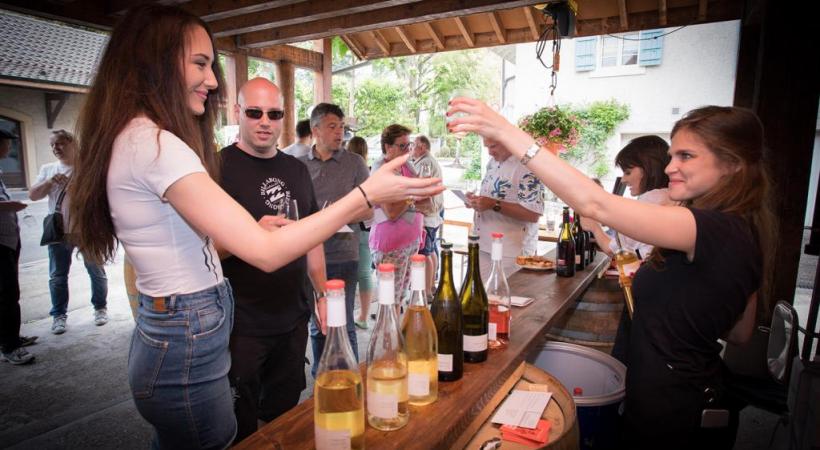 Les Caves ouvertes entre détente, convivialité et dégustation. RÉGIS COLOMBO