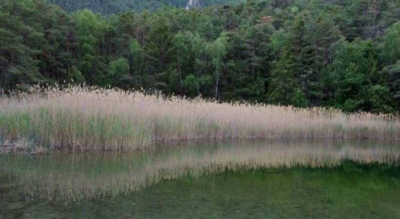 Cinq jours à la découverte du patrimoine naturel. JéRôME KLOTZ