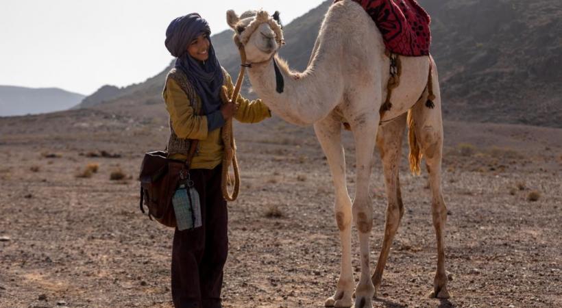 Un lien très fort unit le jeune Zodi et son petit dromadaire. SIFE-ELAMINE