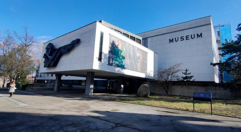 Les travaux d’agrandissement du Muséum ont commencé. En médaillon: le projet «Ambre». MP / MAK ARCHITECTURE