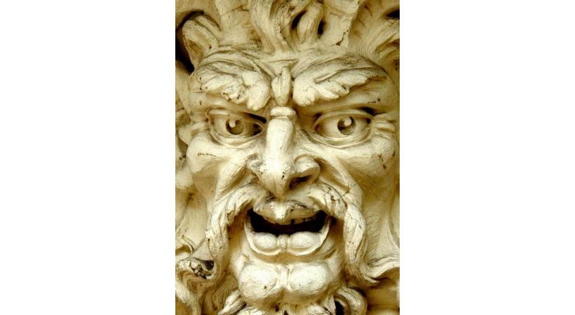 Des ornements singuliers. DOMINIQUE HUPPI