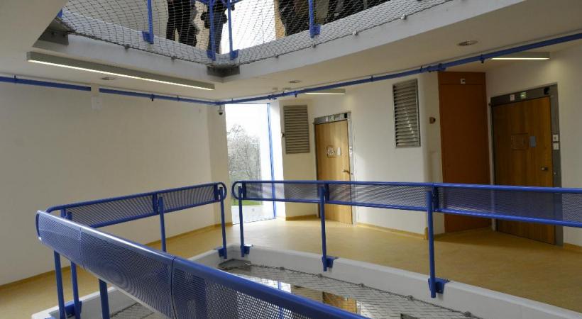 Curabils est attendu depuis presque un demi-siècle. DAVID ROSEMBAUM-KATZMAN 