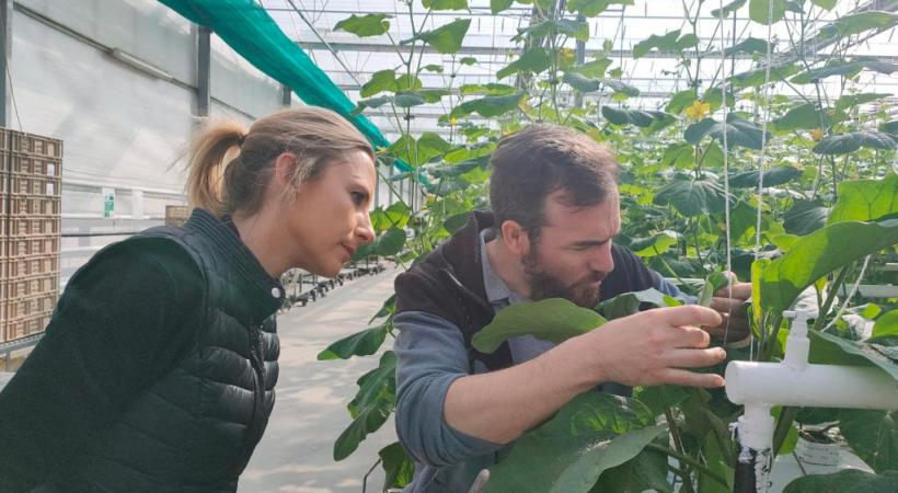La PLR Natacha Buffet-Desfayes a passé une journée avec le maraîcher Claude Janin.
