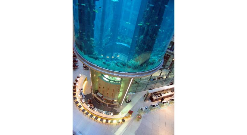 Il est possible de rallier l’île aux musées par bateau. Potsdamer Platz, vitrine du Berlin futuriste. Un ascenseur est intégré dans cet aquarium géant. Alexander Platz a bien changé depuis l’ex-RDA. Le saisissant mémorial de l’Holocauste. 