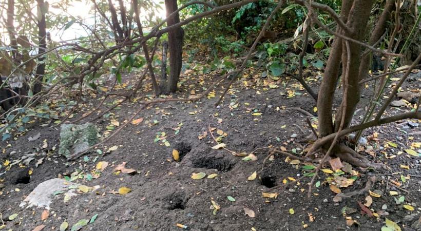 Les riverains ont peur d’emprunter l’escalier menant de la rue  de la Rôtisserie à la rue du Perron. PHOTOS MK