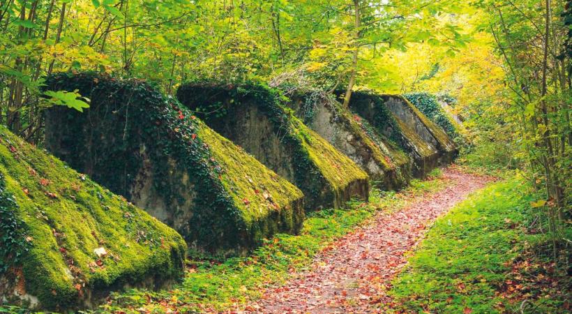 La végétalisation colonise les fameux Toblerones. 