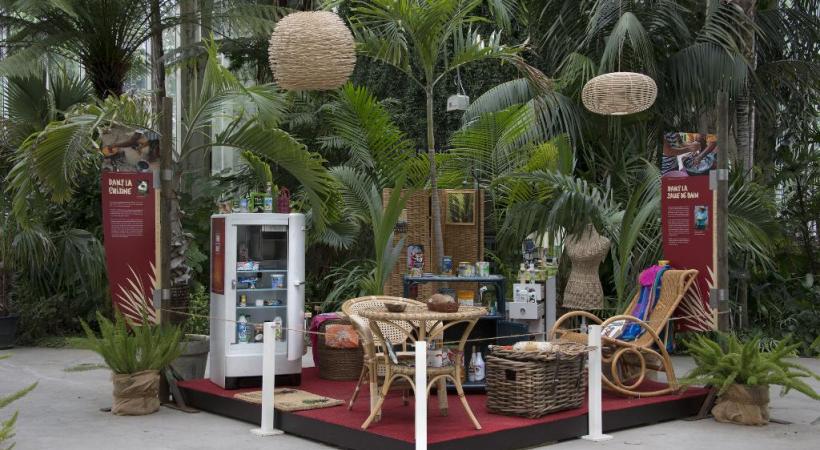 Les divers usages du palmier sont présentés. DR 