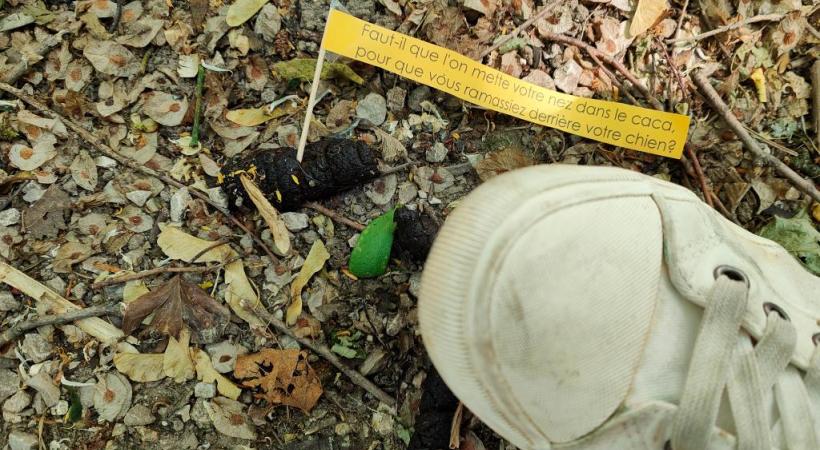 Une habitante de la Ville de Genève pose des petits messages, espérant sensibiliser  propriétaires de chiens indélicats. MP