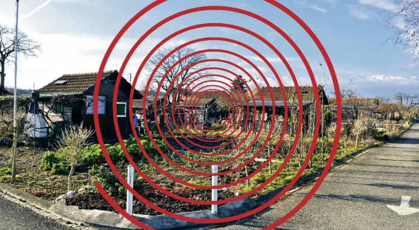 Les Jardins familiaux de Montfleury à Vernier sont les plus ciblés par les cambrioleurs.  DAVID ROSEMBAUM-KATZMAN 