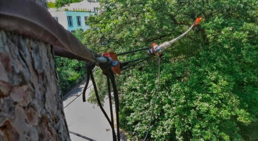 Route du Grand-Lancy, l’écuroduc a été posé le 15 juin. GéNIE CIVIL