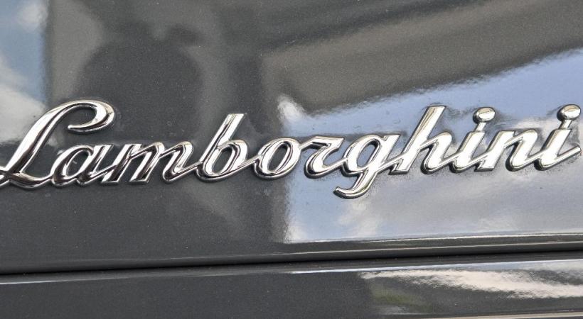 DAVID ROSENBAUM-KATZMAN Le vol de logos de voiture de luxe ou de sport est très répandu en Europe.  