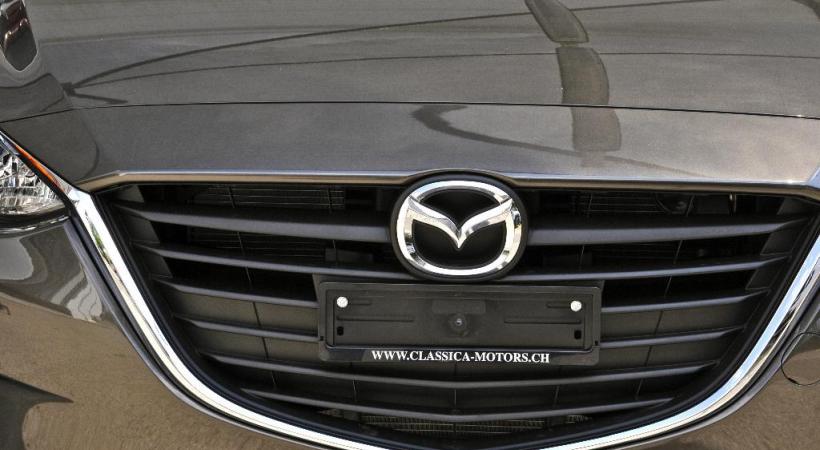 DAVID ROSENBAUM-KATZMAN Le vol de logos de voiture de luxe ou de sport est très répandu en Europe.  