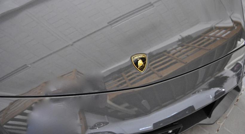 DAVID ROSENBAUM-KATZMAN Le vol de logos de voiture de luxe ou de sport est très répandu en Europe.  