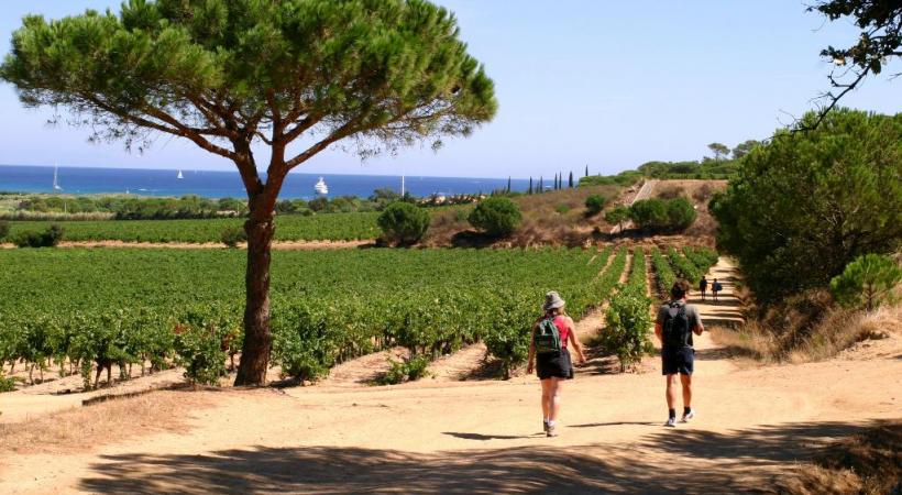 Balade dans les vignes varoises. VAR TOURISME/LCI Les gorges du Verdon. VAR TOURISME/OLIVIER SIMON  Nice et sa promenade des Anglais, carte postale de la Côte d’Azur. OFFICE DU TOURISME ET CONGRèS DE NICE 