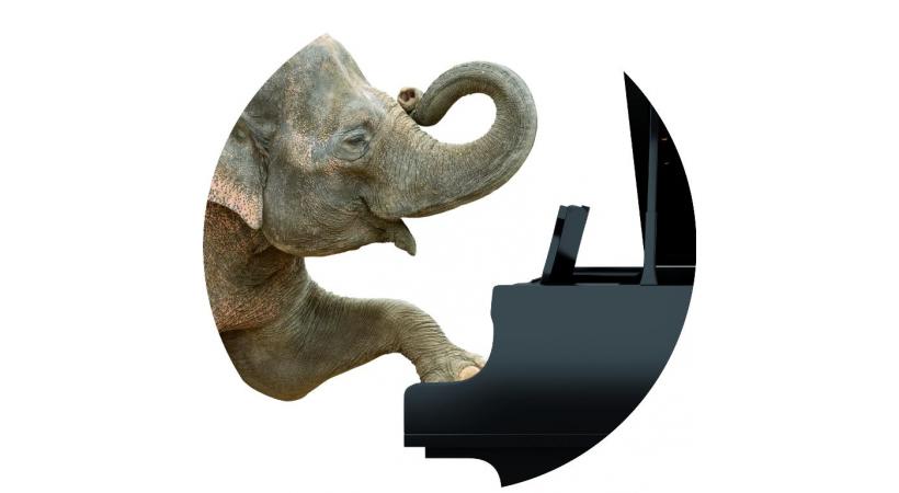 Plus qu’un concert… une féerie animalière. DR 