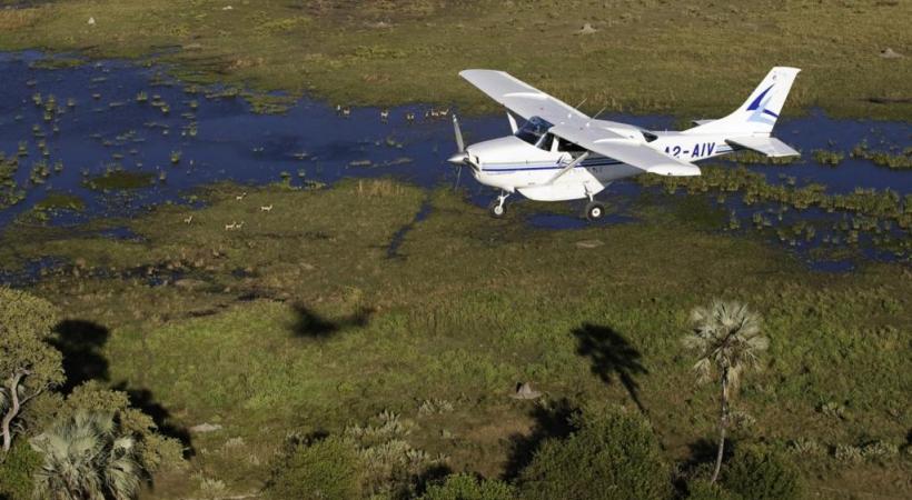 Les «hippos» sont les maîtres des eaux. ALAIN BOSSU Panthère dans  la réserve.  RêVES AFRIQUE Les enfants sont très attentifs aux explications des guides. &BEYOND Le lion reste le roi de la savane... ALAIN BOSSU Safari dans la réserve de Moremi. OKUTI CAMP 