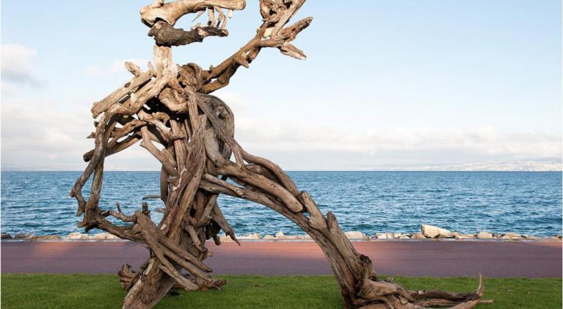 Une incroyable féerie nocturne qui, chaque année, enchante un public fidèle. PIERRE THIRIET Dans le Fabuleux Village. ALAIN BOSSU Si vous voulez croire, vous croirez. PAUL PASTOR 