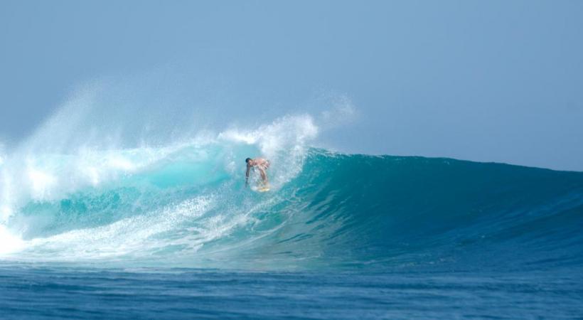 Madagascar abrite plus du tiers des caméléons de la planète, dont le plus petit (25 mm de longueur) et le plus grand (caméléon de Parson) sur notre photo. ALAIN BOSSU Nosy Komba. ALAIN BOSSU La magie du Mont Passot à Nosy Be. ALAIN BOSSU 
