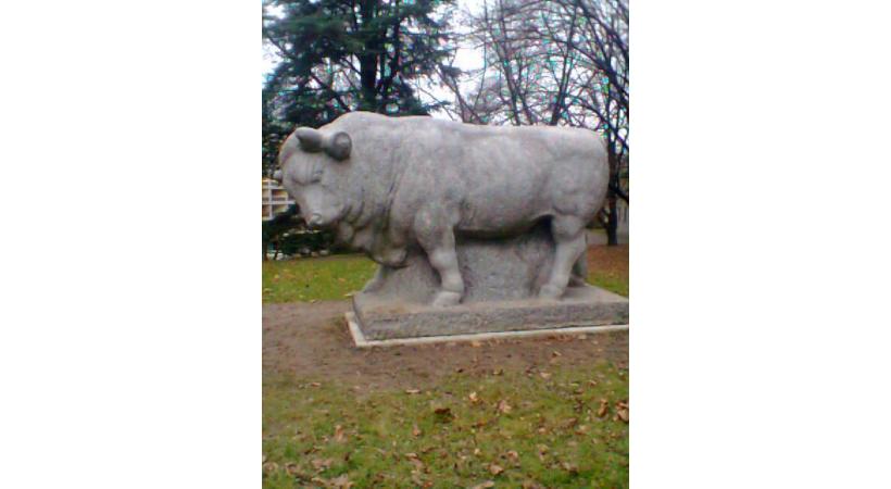 La statue du célèbre ruminant a été replacée,  mais dans un endroit moins en vue. DR 
