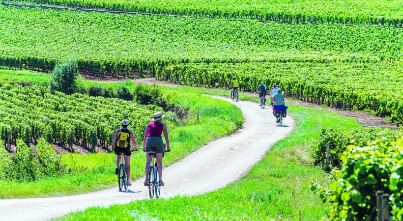 Le château de Cormatin. ALAIN DOIRE/BOURGOGNE TOURISME Les Hospices de Beaune.  FRANCIS VAUBAN/BOURGOGNE TOURISME A vélo dans le vignoble. ALAIN DOIRE/BOURGOGNE TOURISME Tourisme fluvial sur les canaux de Bourgogne. ALAIN DOIRE/BOURGOGNE TOURISME 