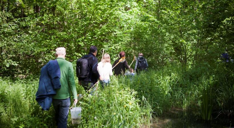 Se réapproprier la nature qui nous entoure. DR 