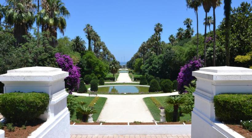 Petit à petit, le centre d’Alger-la-Blanche fait peau neuve. Basilique Notre-Dame d’Afrique. Jardin d’Essai du Hamma. Le chanteur suisse Bastian Baker à Tipasa. 
