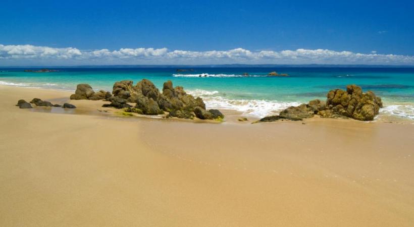 Mondialement connu, le fameux cimetière des Pirates domine la partie sud de la baie d’Ambodifotatra. Plage sur la pointe sud de l’île. Pêche aux coquillages à Lokintsy. Baleine à bosse au large de Sainte-Marie en juin dernier. 