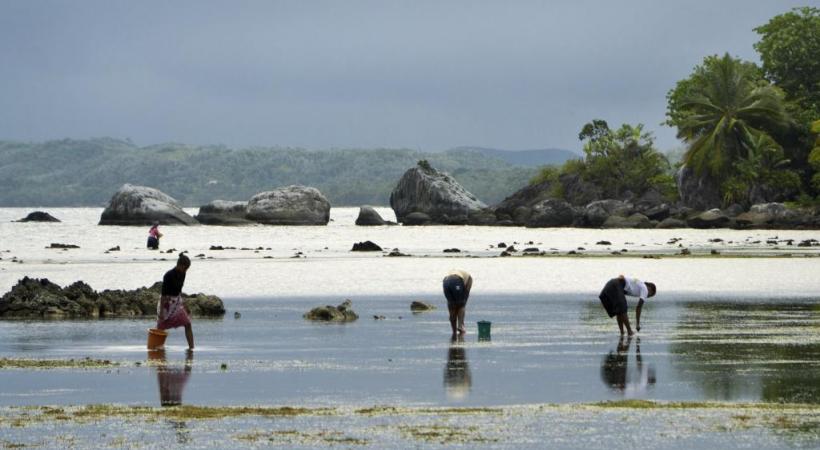 Mondialement connu, le fameux cimetière des Pirates domine la partie sud de la baie d’Ambodifotatra. Plage sur la pointe sud de l’île. Pêche aux coquillages à Lokintsy. Baleine à bosse au large de Sainte-Marie en juin dernier. 